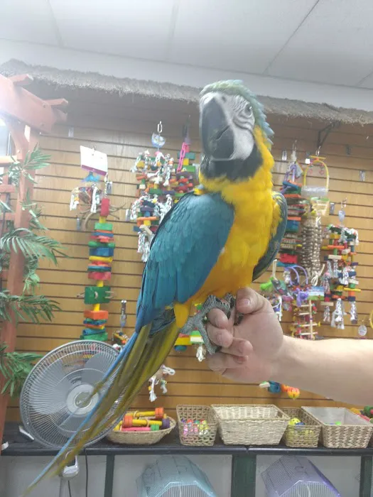 Birdz & Beyond Picture 3
