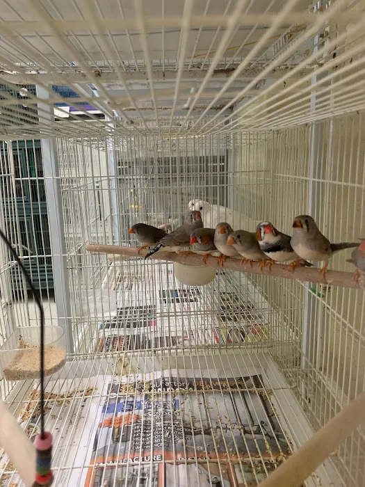 Birdz & Beyond Picture 2