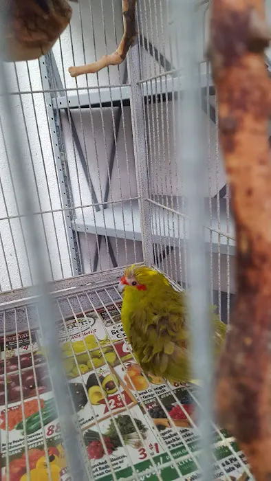 Birdz & Beyond Picture 4