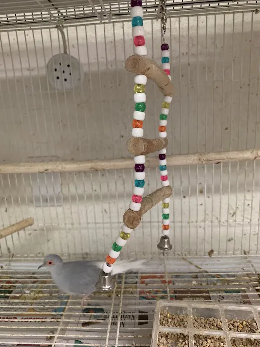 Birdz & Beyond Picture 5