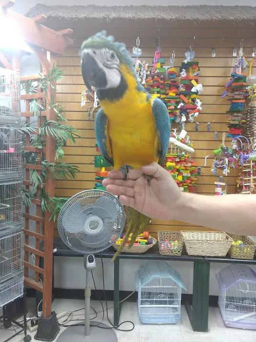 Birdz & Beyond Picture 9
