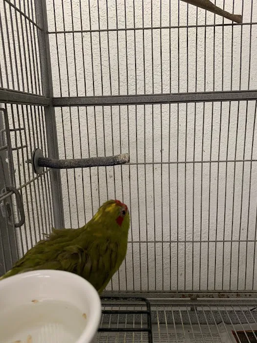 Birdz & Beyond Picture 8