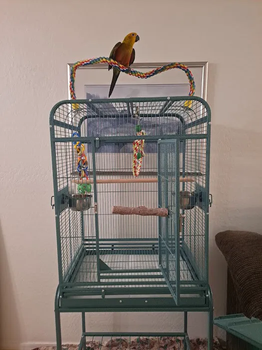 Birdz & Beyond Picture 7