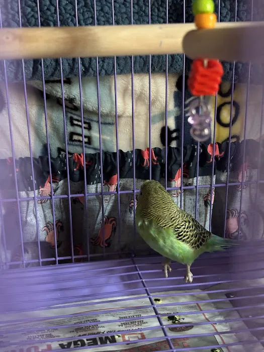 Birdz & Beyond Picture 10