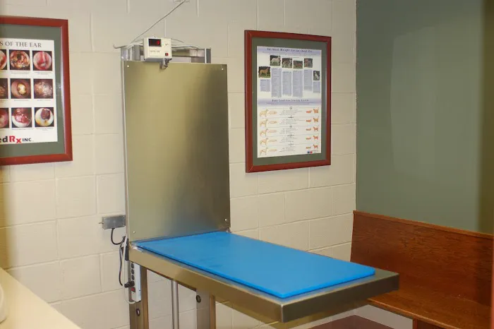 Vetcetera Pet Healthcare Centre Picture 2
