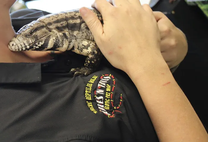 Scales 'N Tails Phoenix Central Picture 10