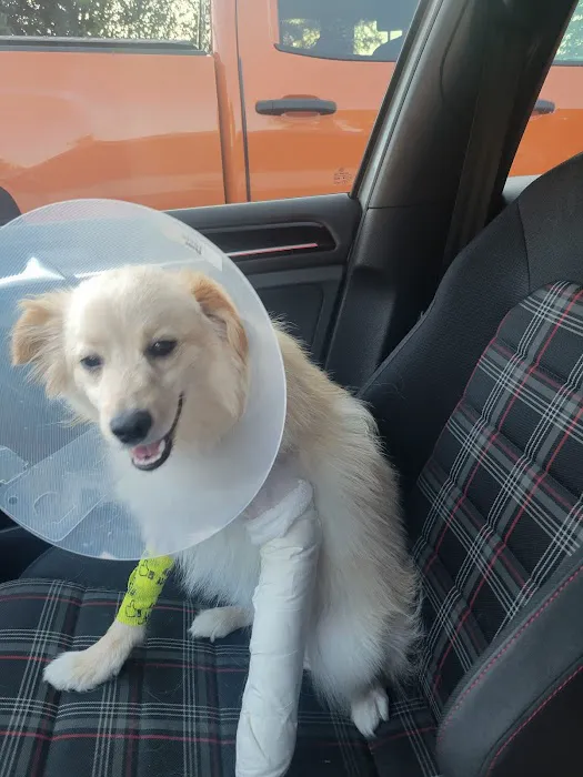Columbia Animal Hospital Picture 3