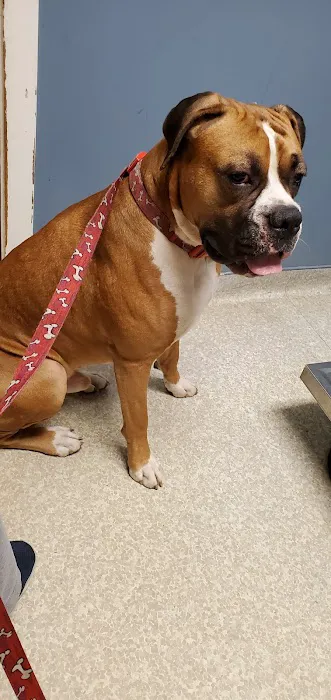 Columbia Animal Hospital Picture 4