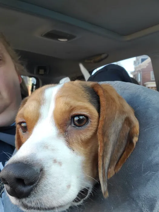 Columbia Animal Hospital Picture 8