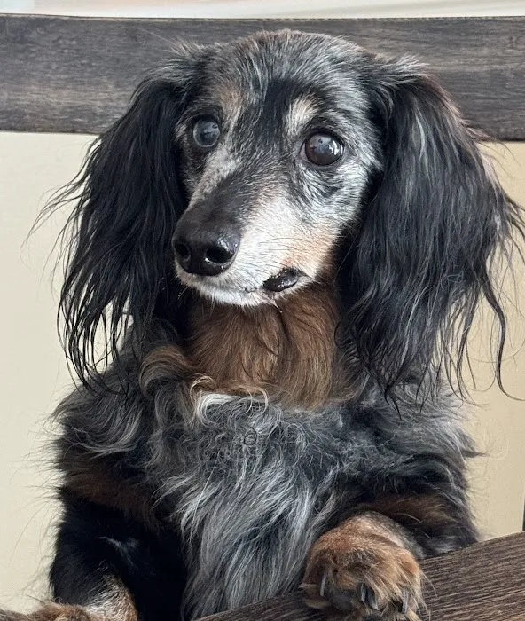 Columbia Animal Hospital Picture 9