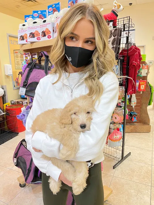 Puppies N Love Picture 6