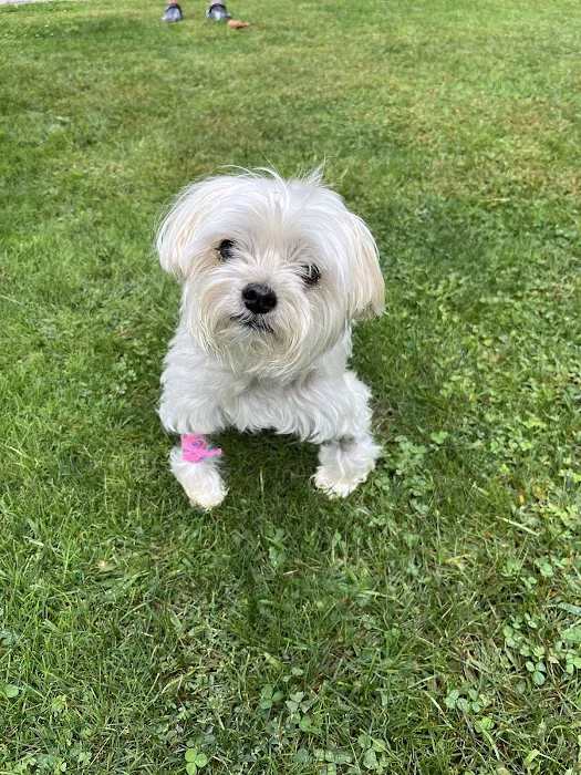 Eclipse Specialty & Emergency Pet Care Picture 1