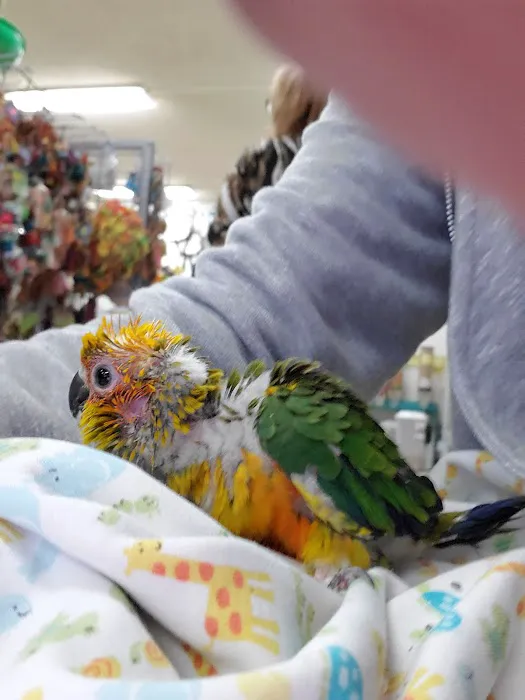 Birds, and Then Some! Picture 3