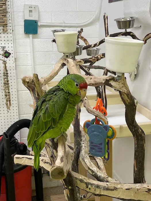Birds, and Then Some! Picture 5
