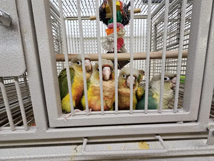 Birds, and Then Some! Picture 4