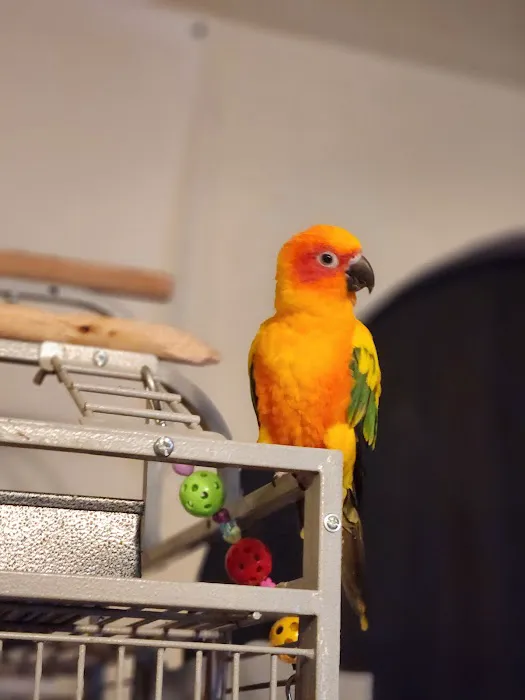 Birds, and Then Some! Picture 6