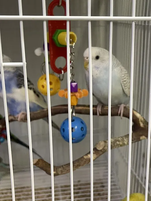 Birds, and Then Some! Picture 7