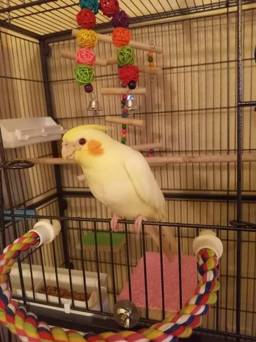 Birds, and Then Some! Picture 9