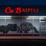 CnB Reptile