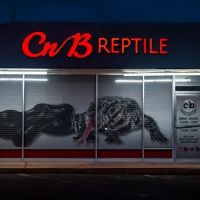 CnB Reptile ico