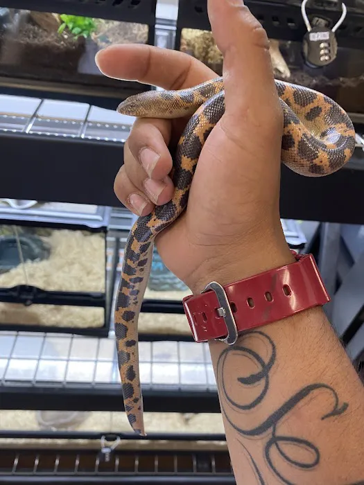 CnB Reptile Picture 5
