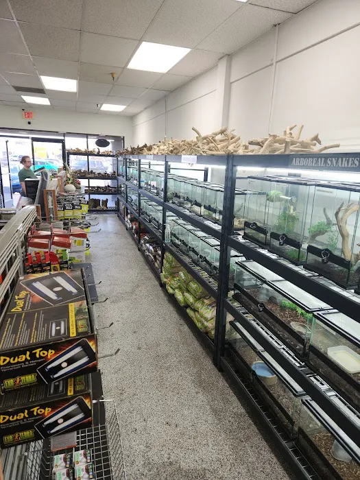CnB Reptile Picture 6