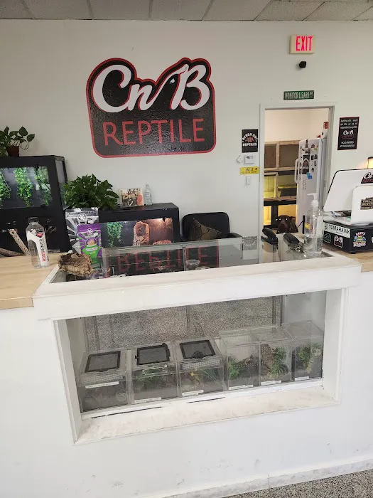 CnB Reptile Picture 10