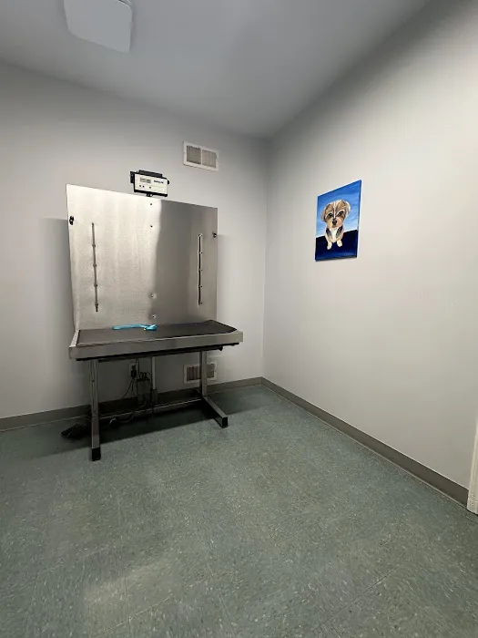 Werner Animal Hospital Picture 1