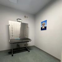 Werner Animal Hospital ico