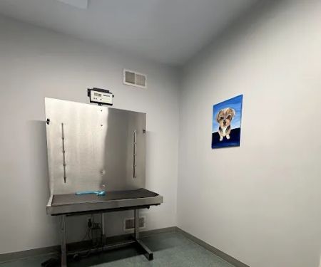 Werner Animal Hospital