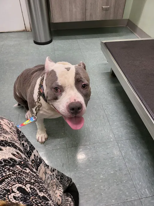 Werner Animal Hospital Picture 2