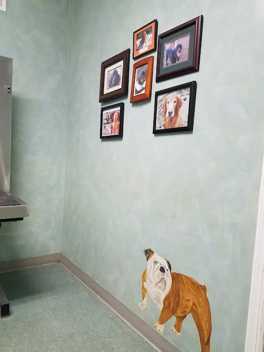 Werner Animal Hospital Picture 9