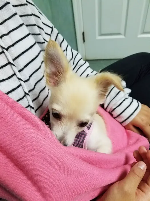 Werner Animal Hospital Picture 8