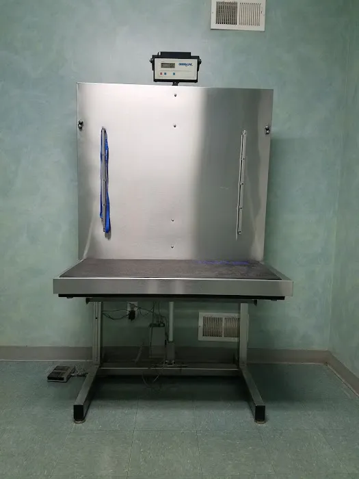 Werner Animal Hospital Picture 10