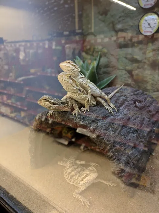 Petco Picture 2