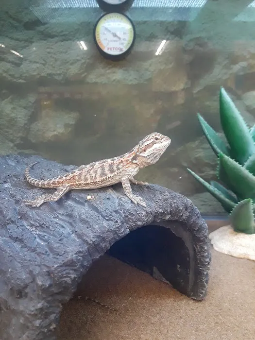 Petco Picture 10