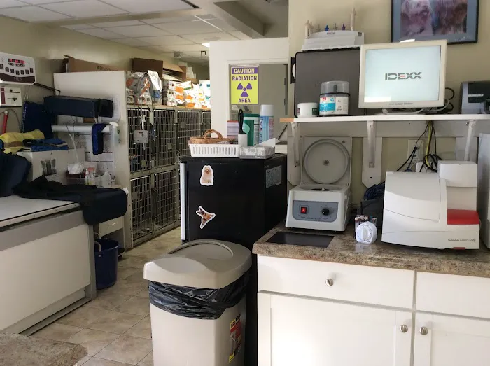 Whippany Veterinary Hospital and Animal Laser Center Picture 10