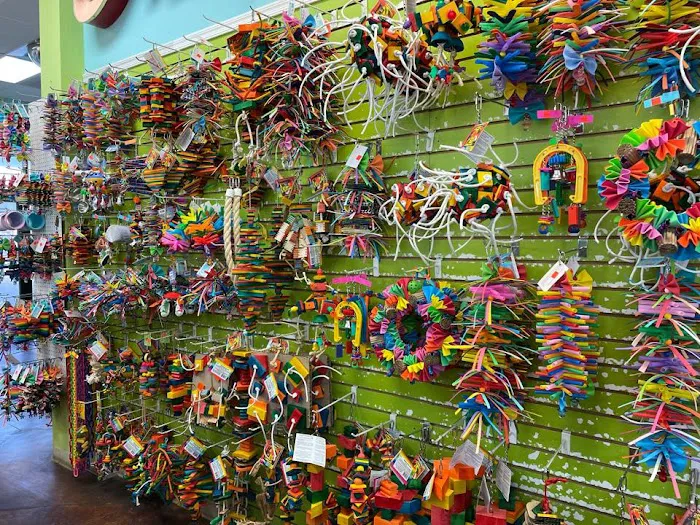 Tropic Zone Exotic Birds Picture 3