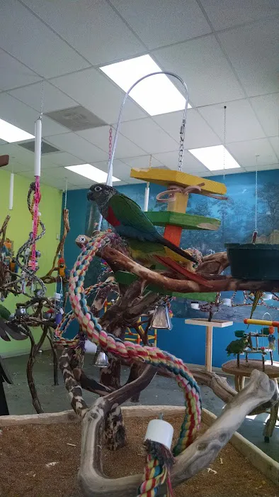 Tropic Zone Exotic Birds Picture 7