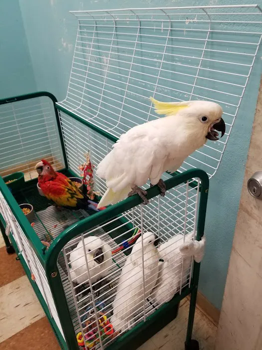 Tropic Zone Exotic Birds Picture 4
