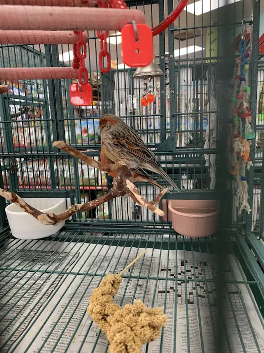 Tropic Zone Exotic Birds Picture 5