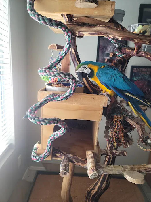 Tropic Zone Exotic Birds Picture 10