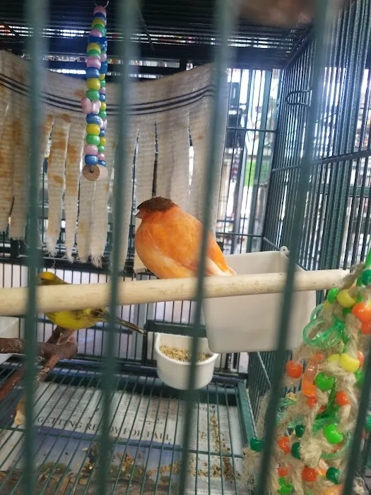 Tropic Zone Exotic Birds Picture 9