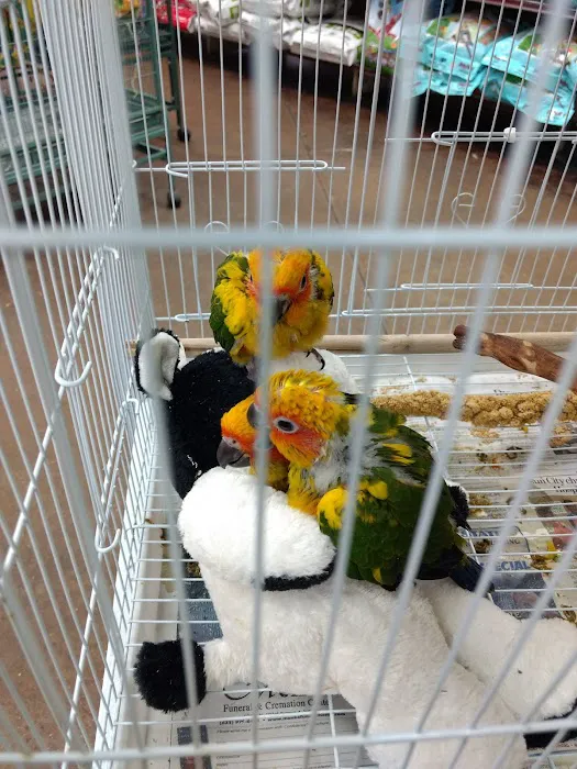 Tropic Zone Exotic Birds Picture 8