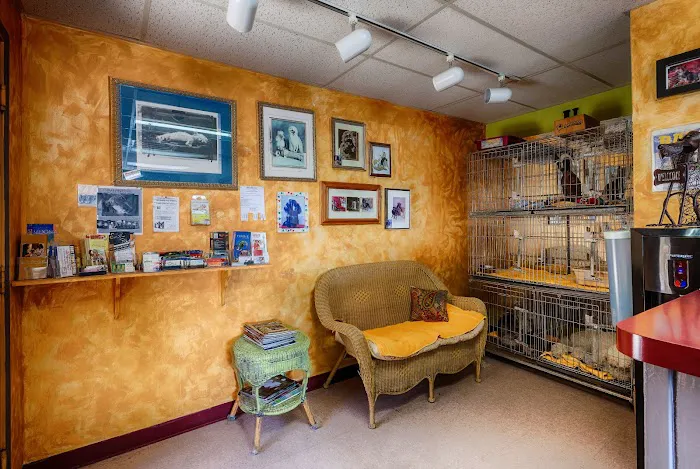 Raining Cats & Dogs Grooming Salon Picture 2