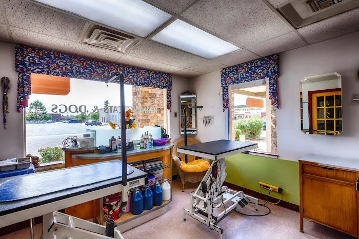Raining Cats & Dogs Grooming Salon Picture 6