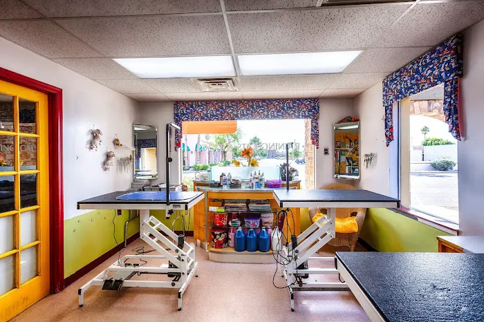 Raining Cats & Dogs Grooming Salon Picture 10