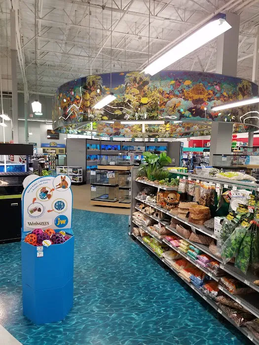 Petco Picture 3