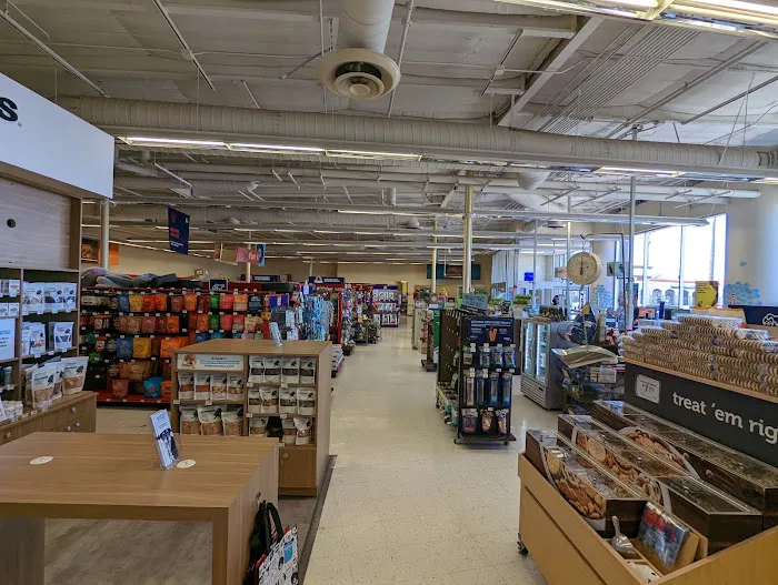 Petco Picture 3