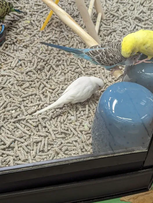 Petco Picture 4